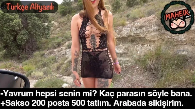 yol kenarindaki orospuya para verip agaclarin arasinda sikti.jpg